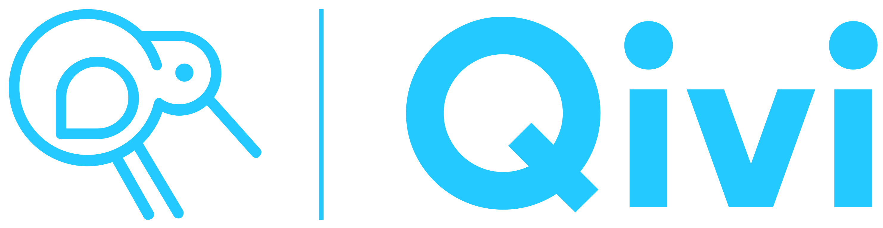 Qivi Logo